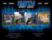 Smith Show Stock